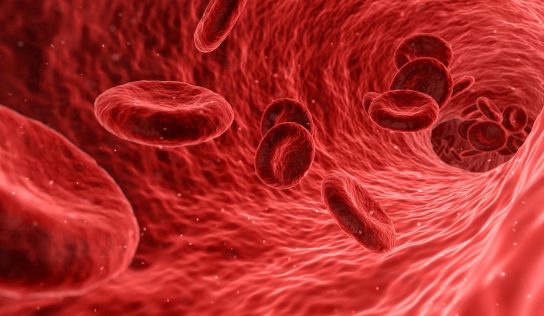 Badania krwi – choroby oraz technologie