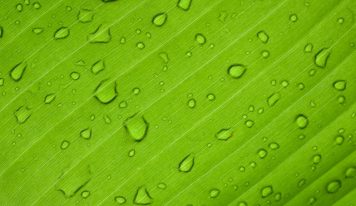 Terapia wodorem – czym jest?