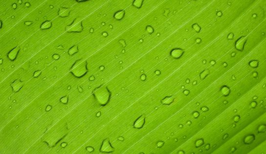 Terapia wodorem – czym jest?