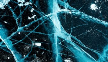 7,8-dihydroksyflawon (7,8 DHF) lub tropoflawina – flawonoid o właściwościach neuroprotekcyjnych