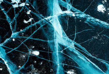 7,8-dihydroksyflawon (7,8 DHF) lub tropoflawina – flawonoid o właściwościach neuroprotekcyjnych