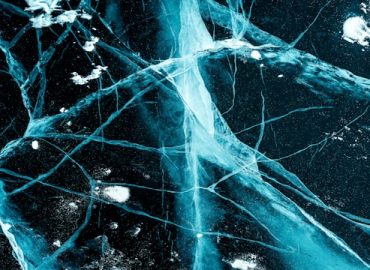 7,8-dihydroksyflawon (7,8 DHF) lub tropoflawina – flawonoid o właściwościach neuroprotekcyjnych