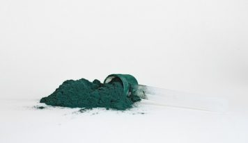 Chlorofil – kompendium wiedzy