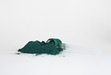 Chlorofil – kompendium wiedzy