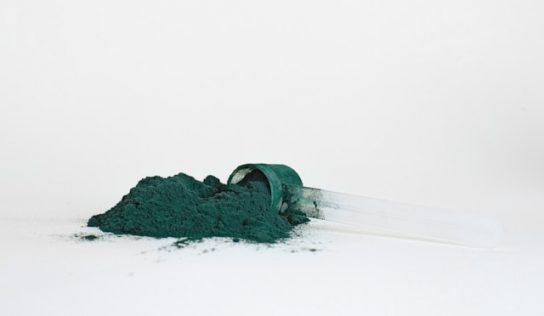 Chlorofil – kompendium wiedzy