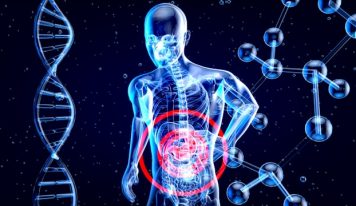 Rola przewodu pokarmowego i probiotyków w sporcie i sprawności fizycznej