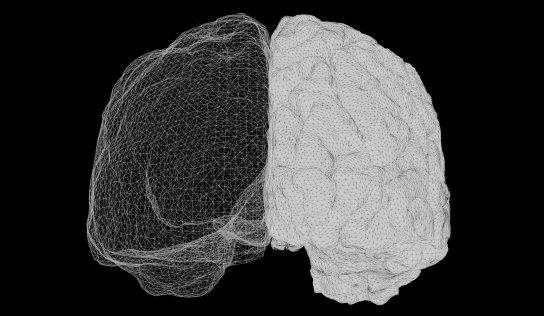 System monitorowania urazów głowy w sporcie – jak to się robi w futbolu amerykańskim i sportach walki