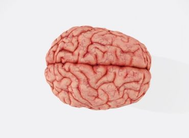 Aktywność fizyczna a kobiecy mózg: mechanizmy, starzenie się i prewencja neurodegeneracji